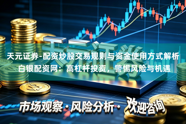 天元证券-配资炒股交易规则与资金使用方式解析 白银配资网：高杠杆投资，警惕风险与机遇