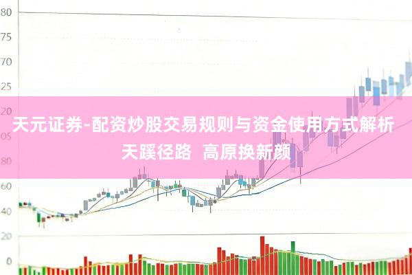 天元证券-配资炒股交易规则与资金使用方式解析 天蹊径路  高原换新颜